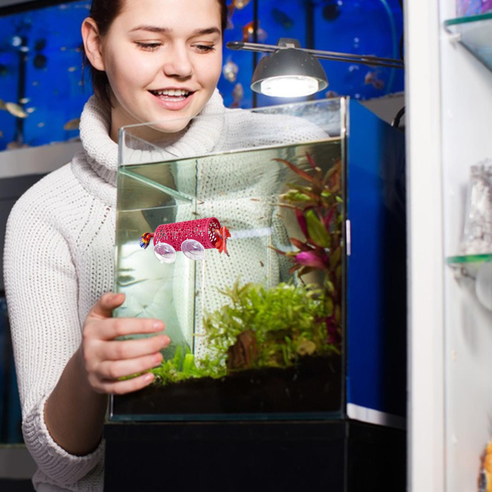 Betta Fish Tank - Habitat pour betta, abri de repos,