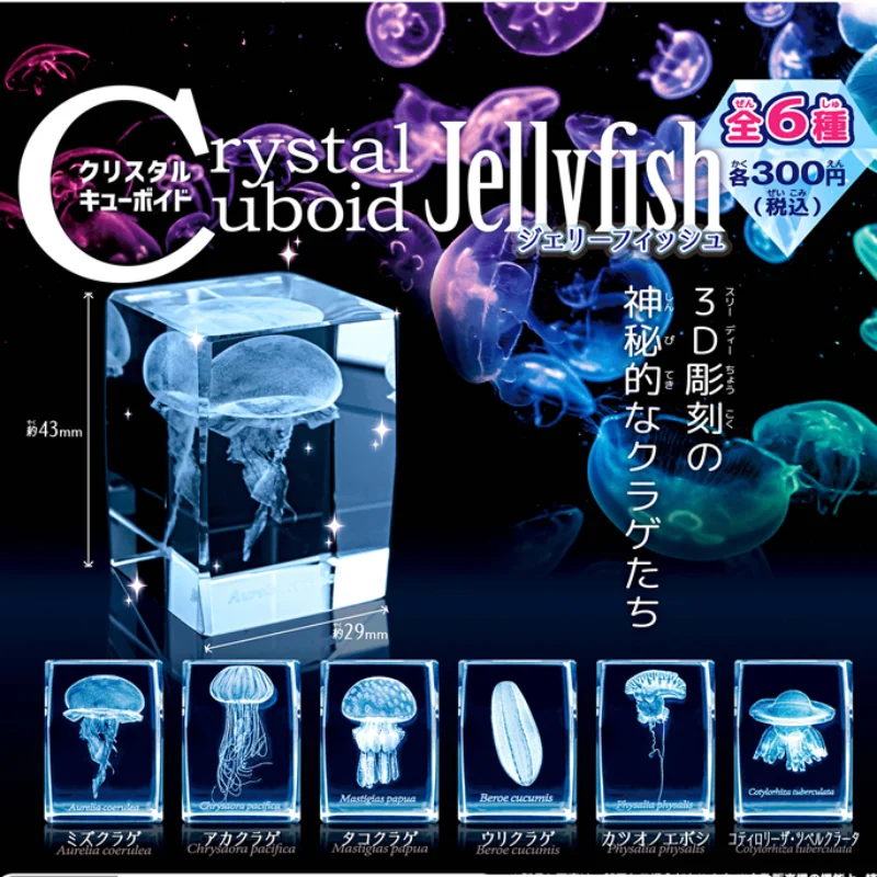 Aquarium Fish Keeping - Gashapon Méduse 3D Clip Cuboïde Roches,
