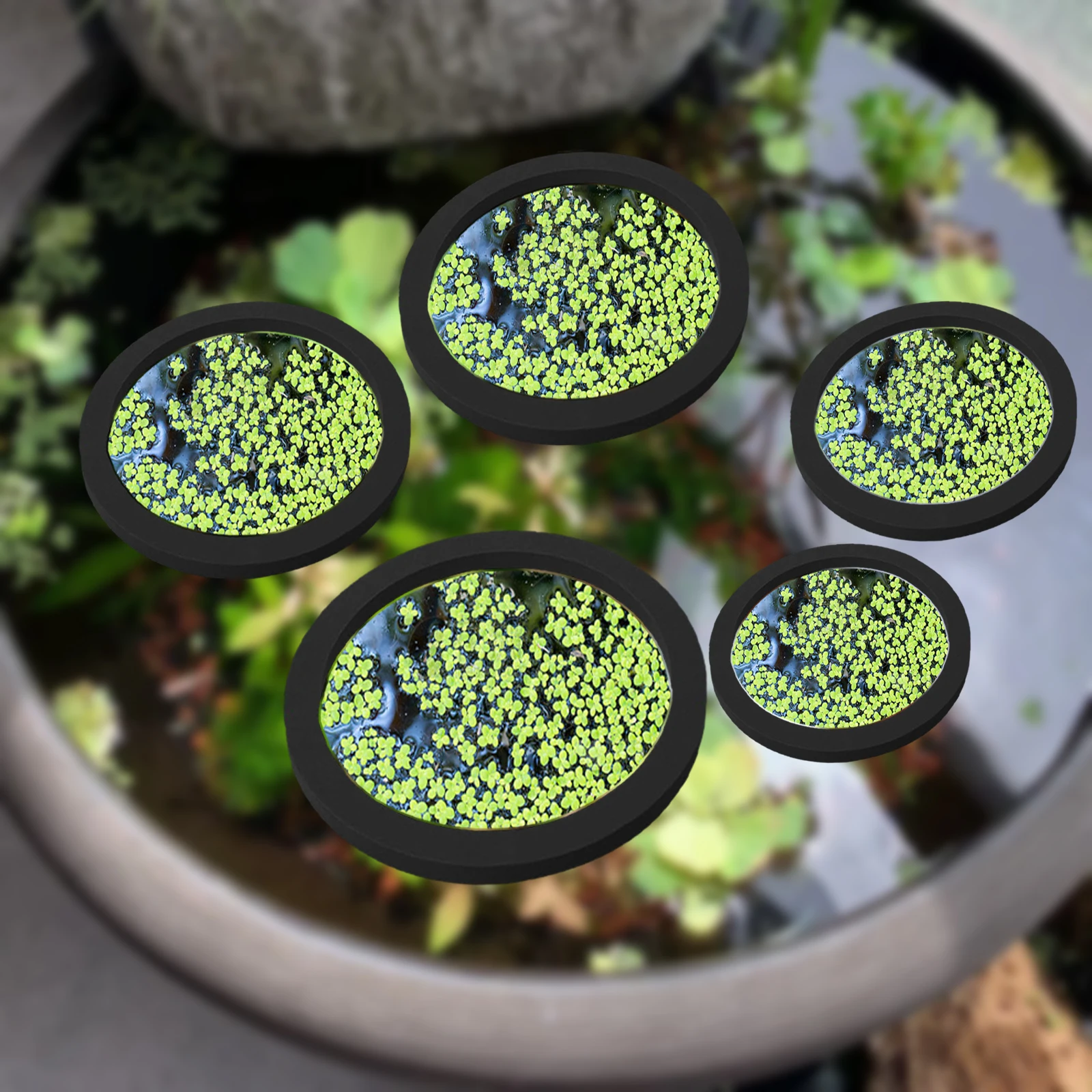 Aquarium Fish Tank - Anneaux d'Alimentation pour Aquarium, Plante Flottante,