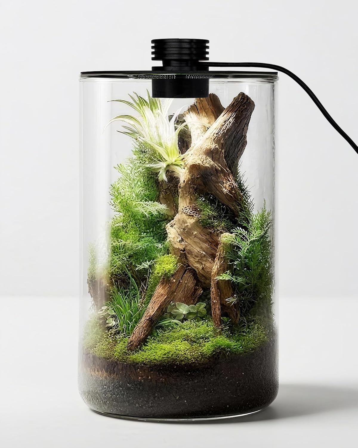 Betta Fish Tank - Terrarium en verre d'intérieur avec lampe