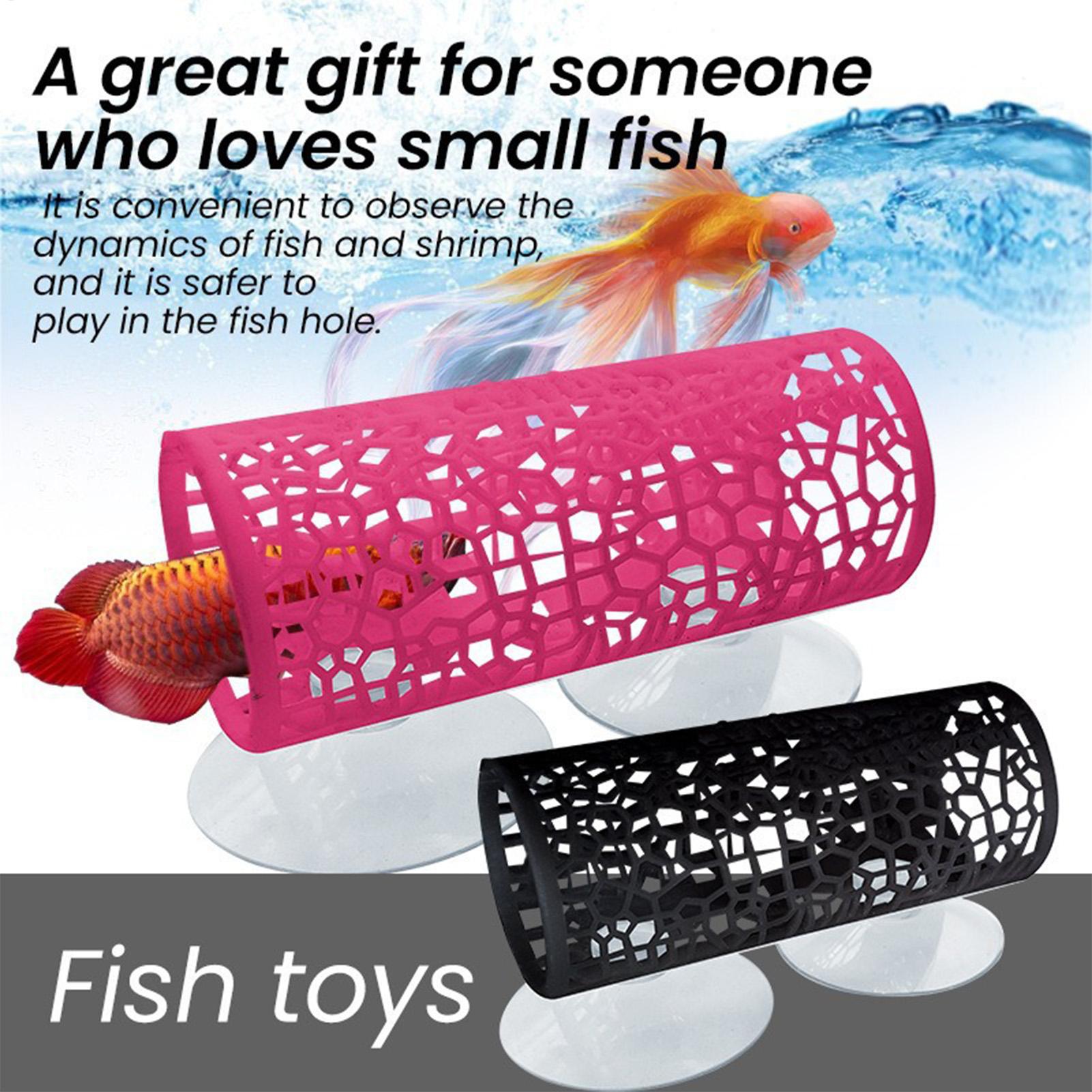 Habitat pour betta, abri de re - Betta Fish Tank avis et prix