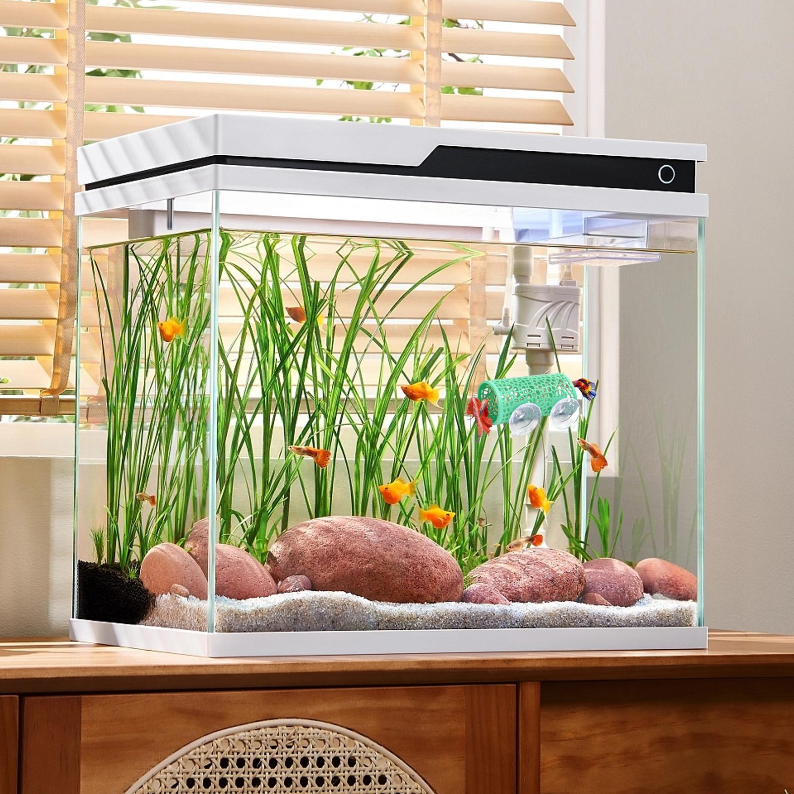 Habitat pour betta, abri de re - Betta Fish Tank avis et prix