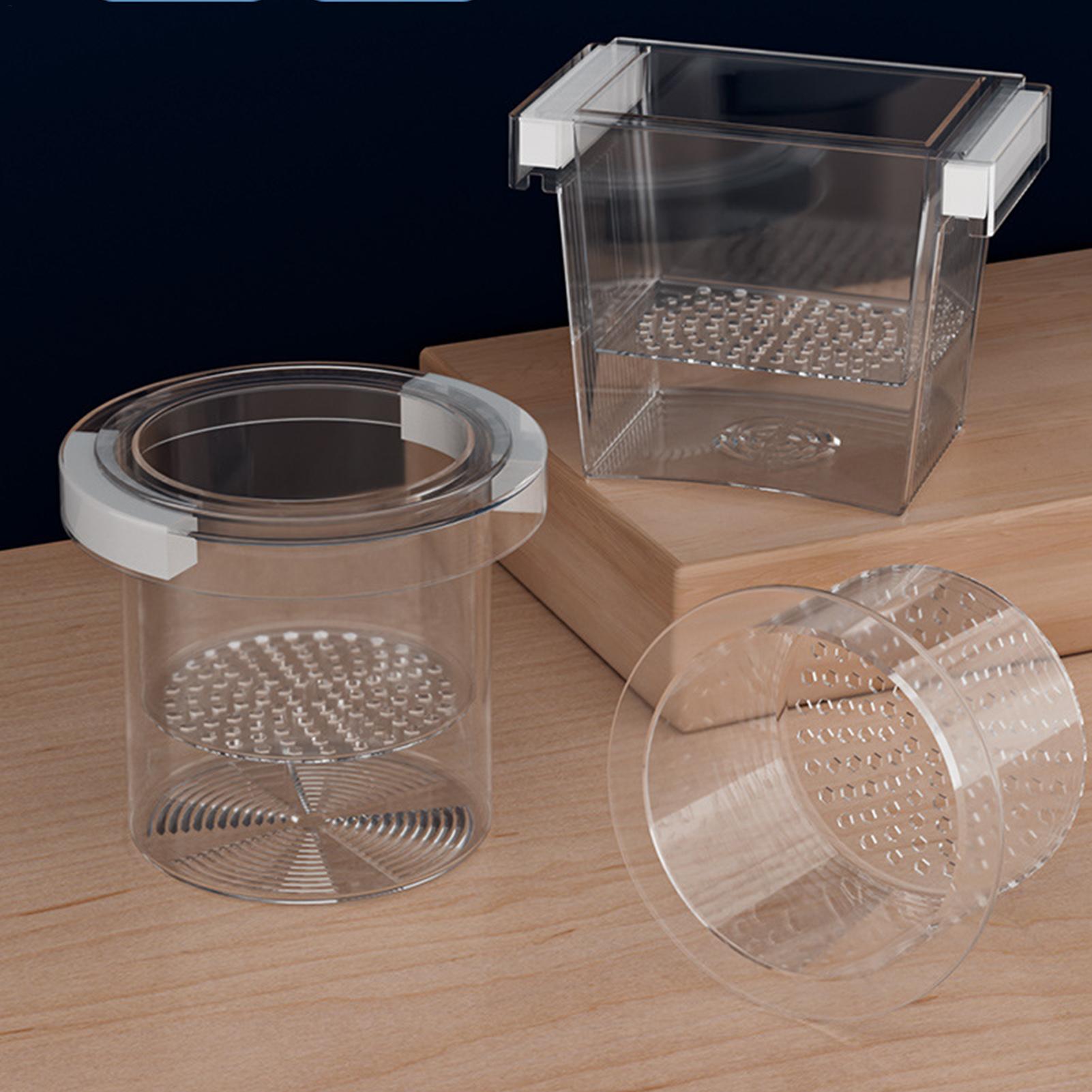 Boîte d'isolement flottante po - Betta Fish Tank avis et prix