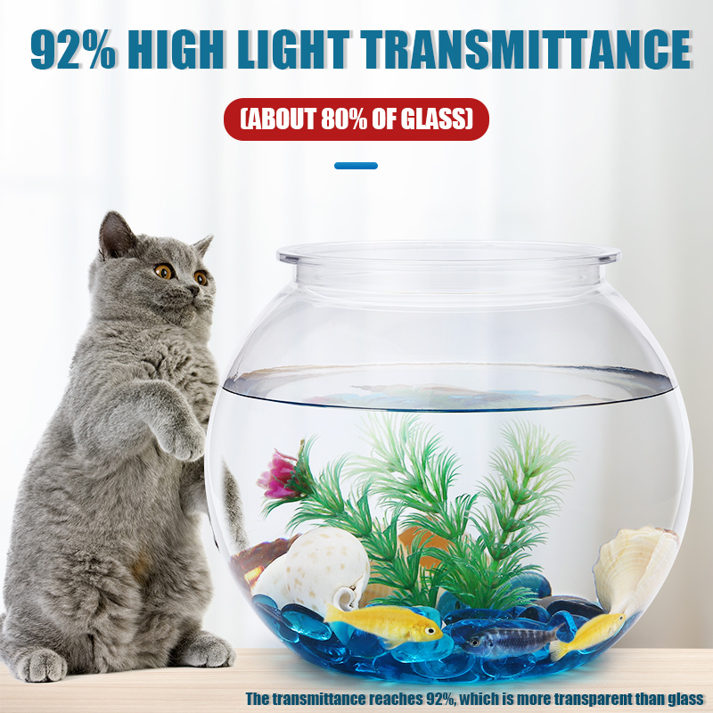 Filles à poisson en plastique  - Betta Fish Tank avis et prix