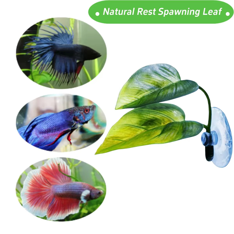 Fournitures pour animaux de co - Betta Fish Tank avis et prix