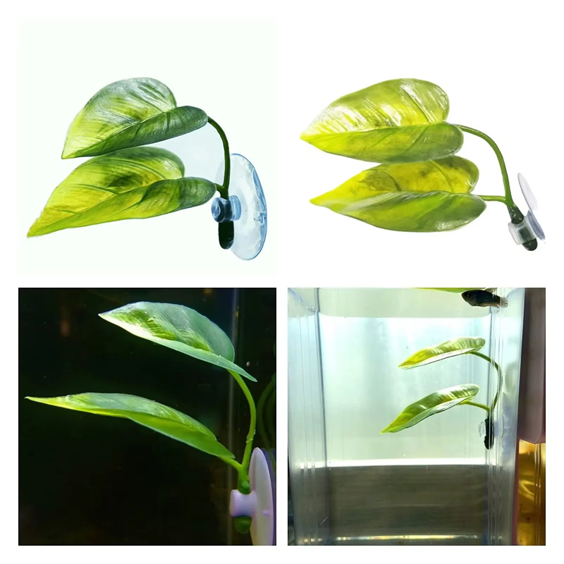 Fournitures pour animaux de co - Betta Fish Tank avis et prix