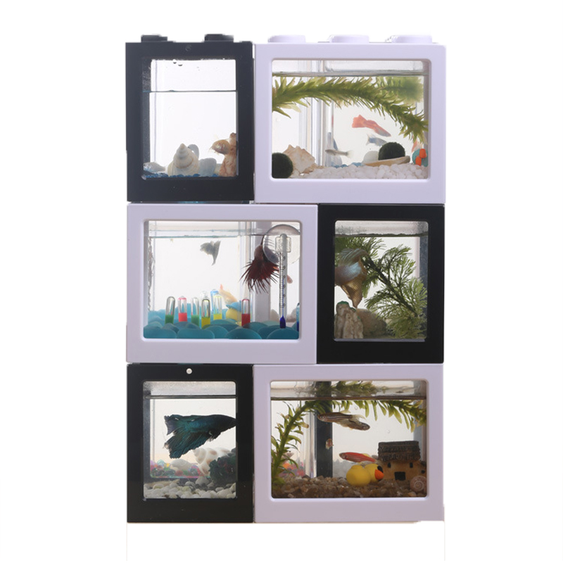 Mini aquarium 7 couleurs pour  - Betta Fish Tank avis et prix