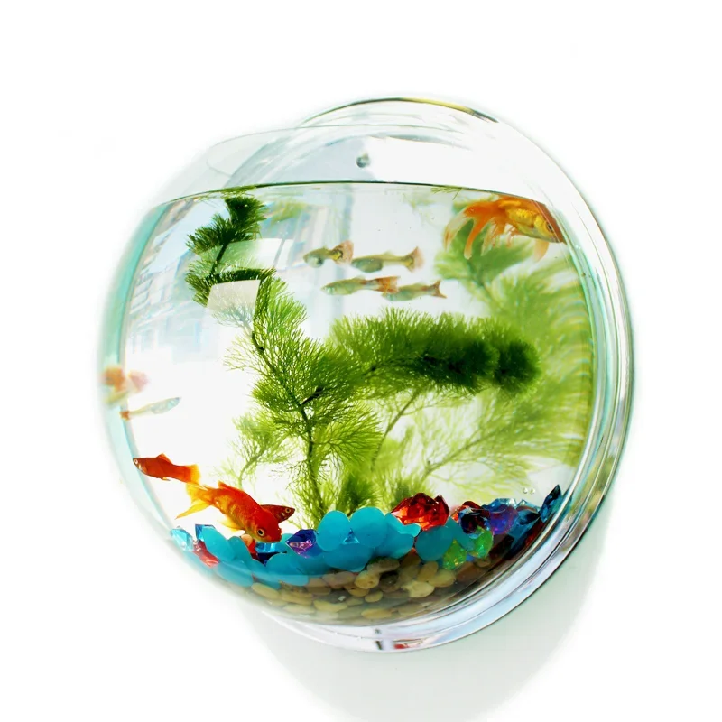 PinsFIGs-Filles mural en acryl - Betta Fish Tank avis et prix