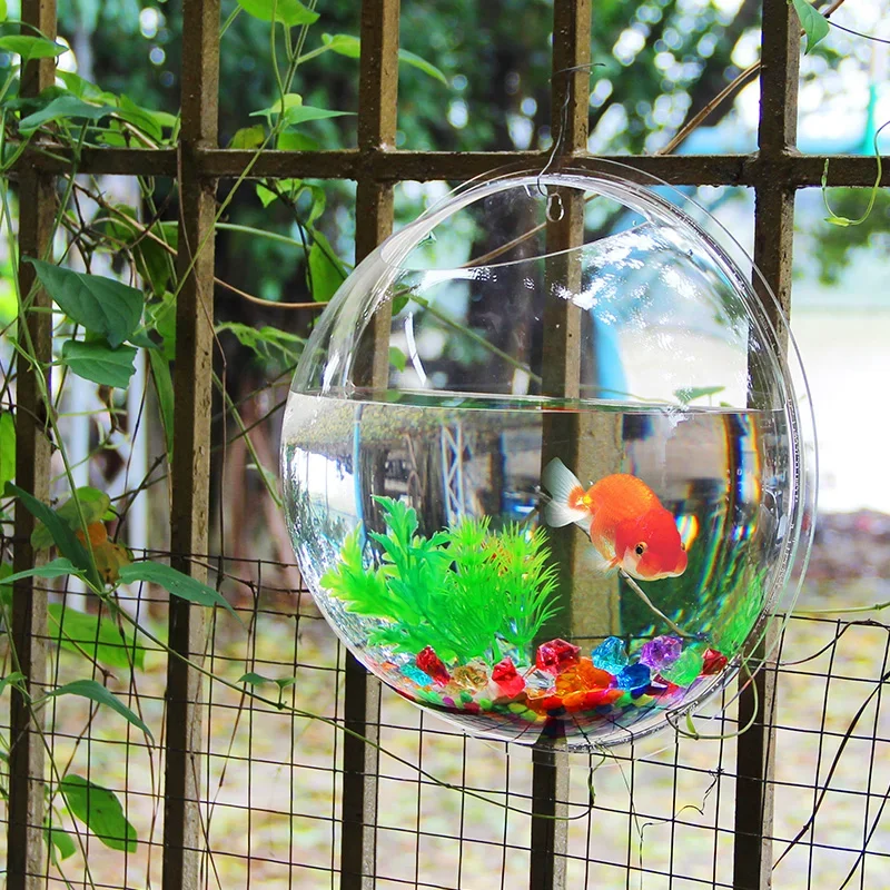 PinsFIGs-Filles mural en acryl - Betta Fish Tank avis et prix