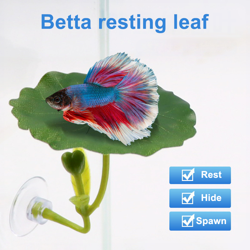 (Ce14)1/5PC Hamac à feuilles v - Betta Fish Tank avis et prix