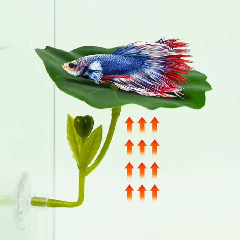 (Ce14)1/5PC Hamac à feuilles v - Betta Fish Tank avis et prix