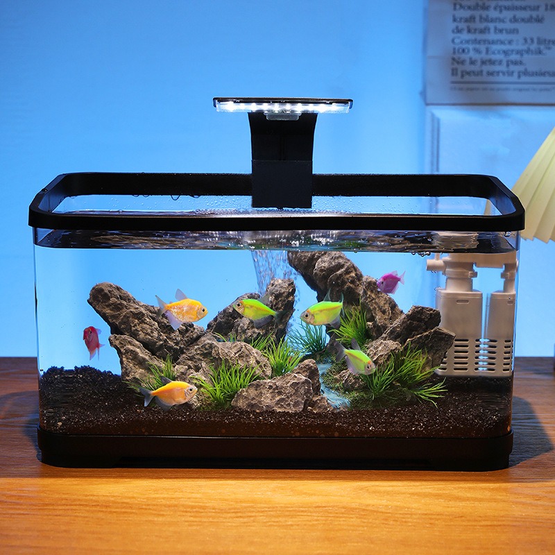 Aquarium de bureau avec filtre - Fish Tank Filter avis et prix