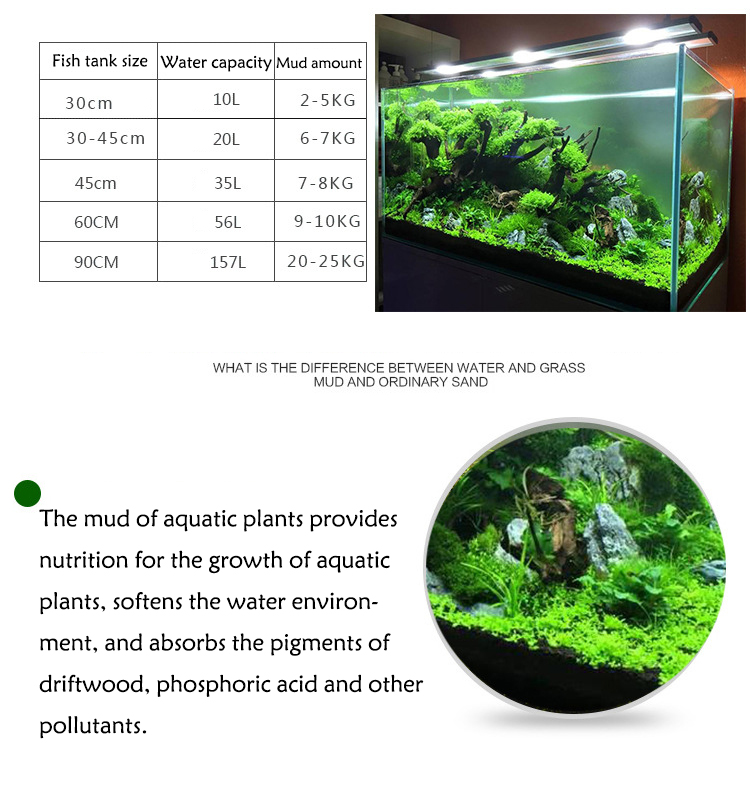 Sol de graines de plantes d'aq - Fish Tank Gravel avis et prix