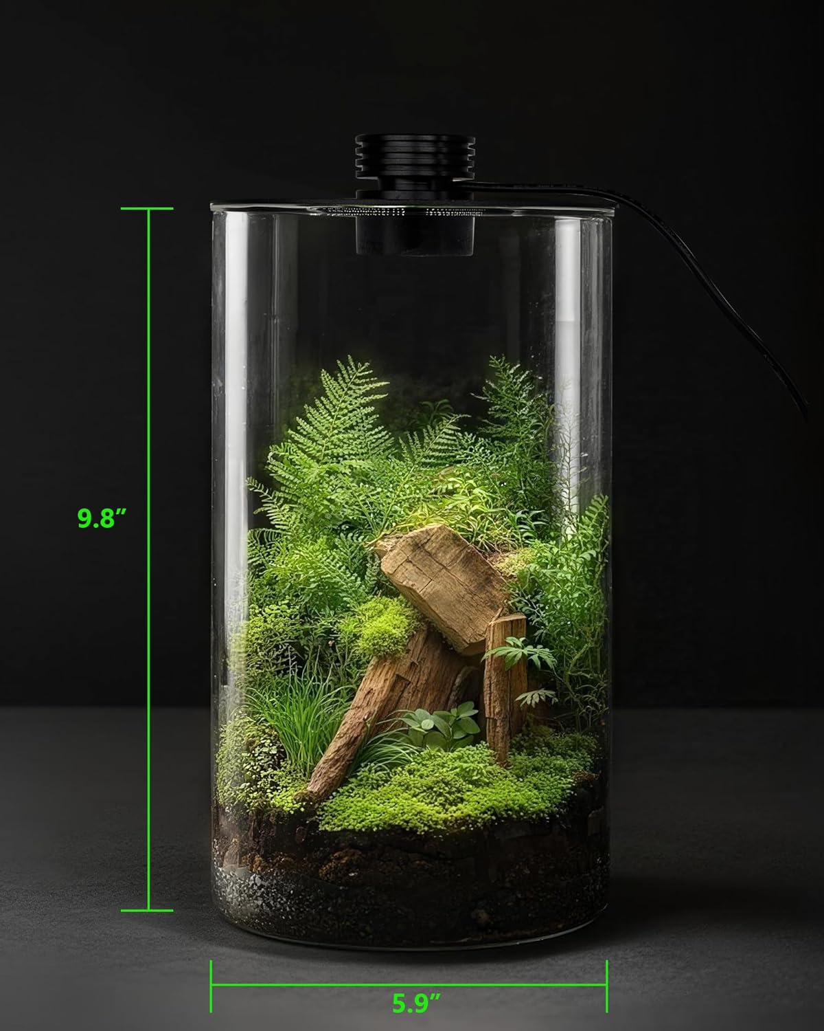 Terrarium en verre d'intérieur - Betta Fish Tank avis et prix