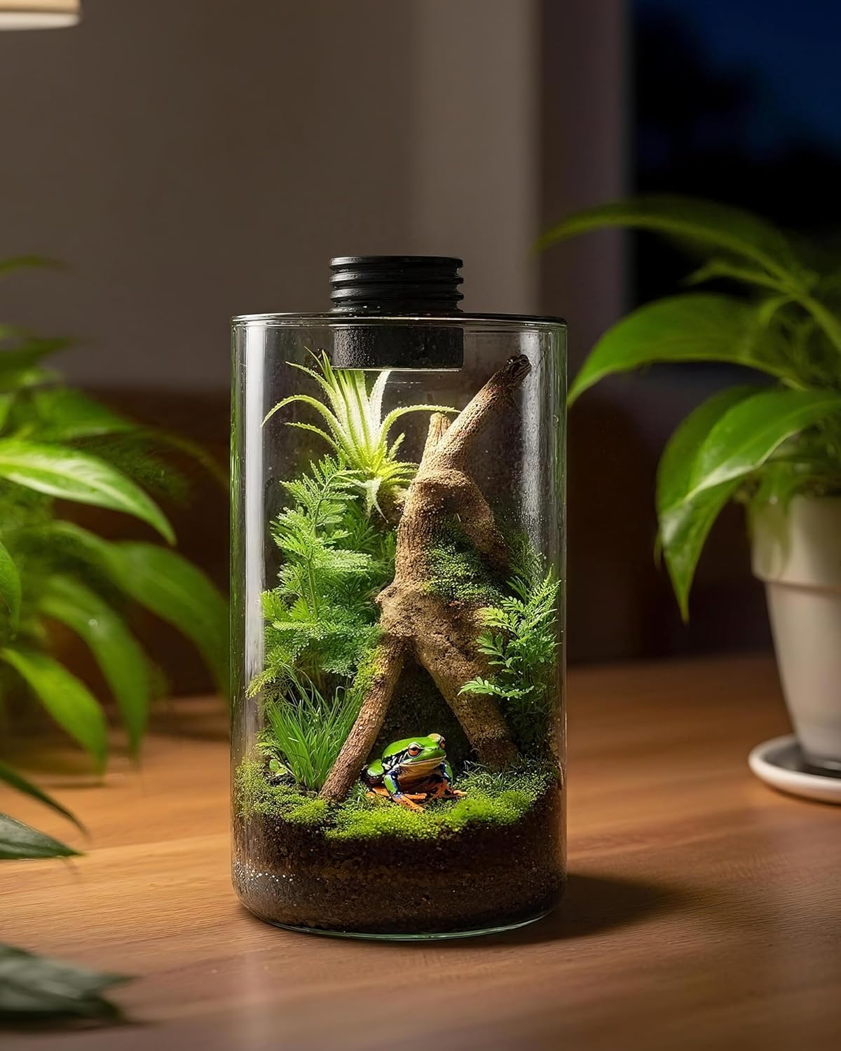 Terrarium en verre d'intérieur - Betta Fish Tank avis et prix