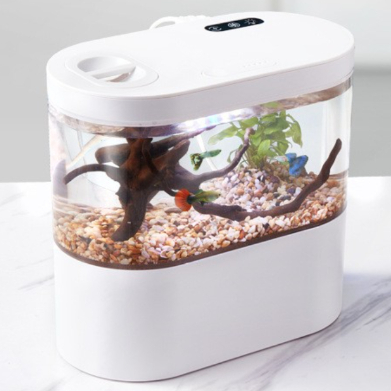 Mini aquarium de bureau créati - Betta Fish Tank avis et prix