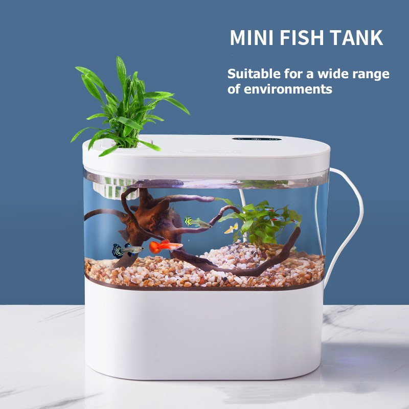 Mini aquarium de bureau créati - Betta Fish Tank avis et prix