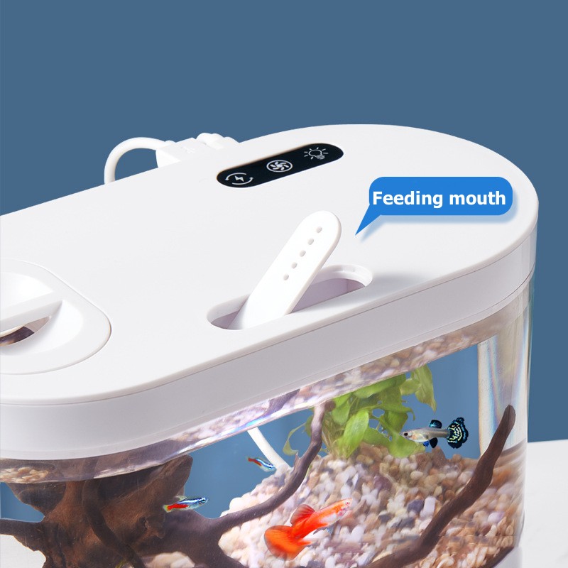 Mini aquarium de bureau créati - Betta Fish Tank avis et prix
