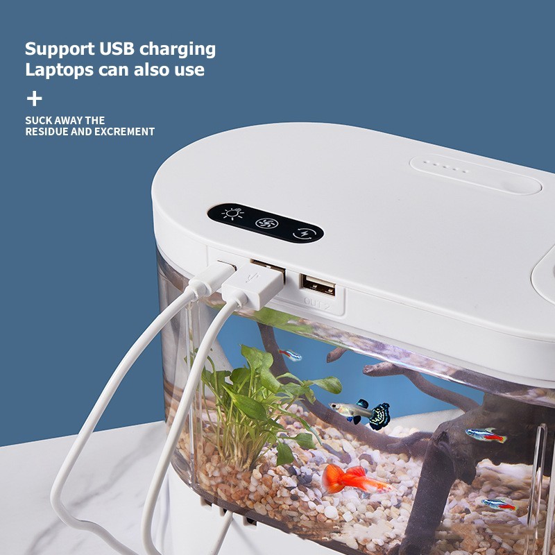 Mini aquarium de bureau créati - Betta Fish Tank avis et prix