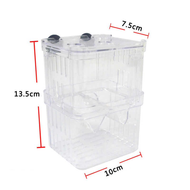 Boîte d'isolation pour élevage - Betta Fish Tank avis et prix