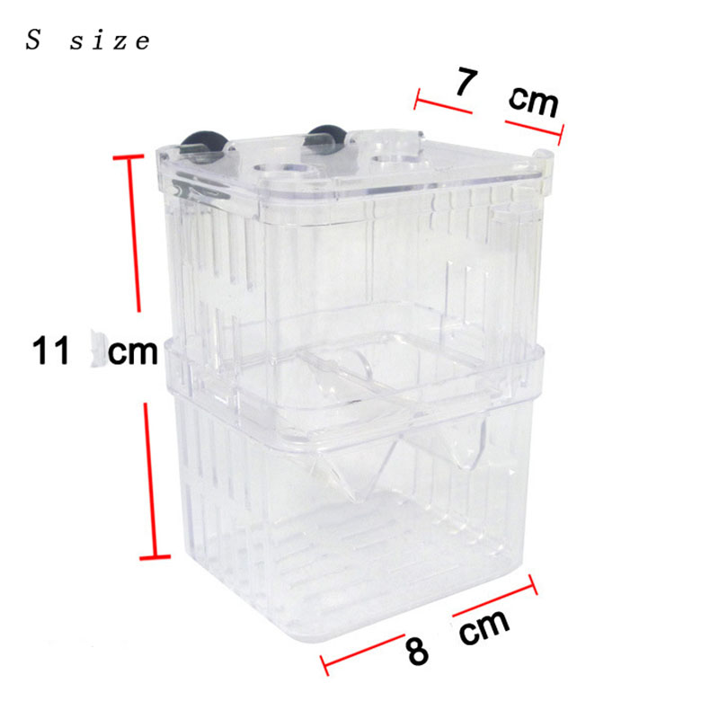 Boîte d'isolation pour élevage - Betta Fish Tank avis et prix