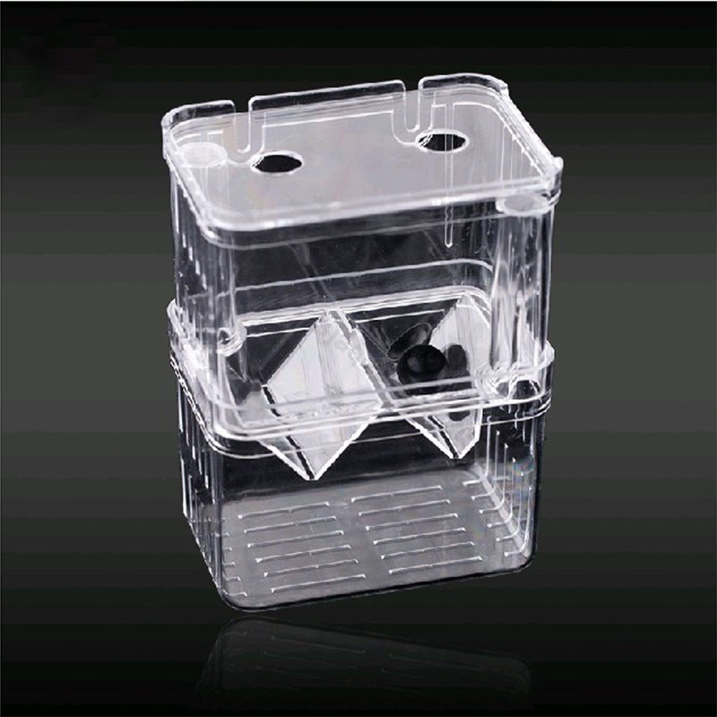 Boîte d'isolation pour élevage - Betta Fish Tank avis et prix