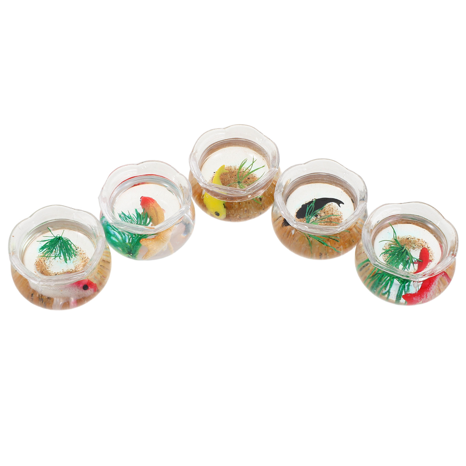 5 aquariums miniatures pour po - Aquarium Plants avis et prix